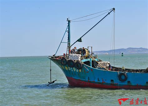 出海啦！泉港15艘渔船有序出港生产作业-中国福建三农网
