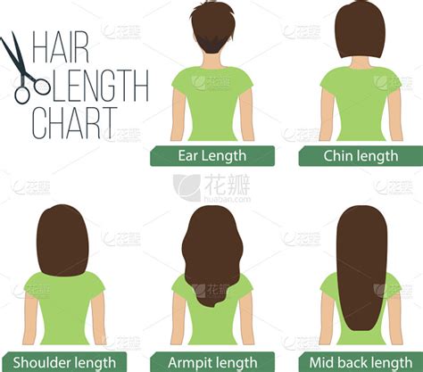 图表,头发长度,背面视角,发型,下巴,头发,腋窝,女人,女孩,卷发