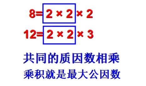 12的因数有哪些最大公因数是哪个（求最大公因数的几种方法） | 说明书网