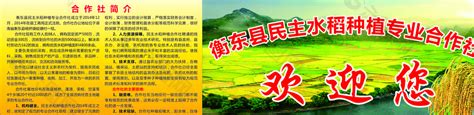 水稻 种植 合作社 简介图片平面广告素材免费下载(图片编号:5291962)-六图网