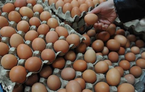 2017年12月26日全国各地鸡蛋价格行情汇总