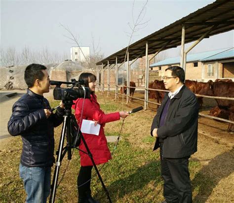 陕西农林卫视采访昝林森教授为养牛户支招_中心动态_国家肉牛改良中心