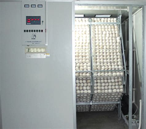 2112枚机器孵化机小型全自动家禽孵化机鸽子孵化箱小鸡孵化器鹌-阿里巴巴