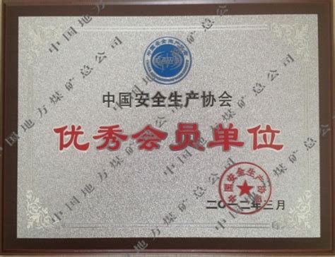 中国地方煤矿有限公司 资质荣誉 中国安全生产协会优秀会员单位