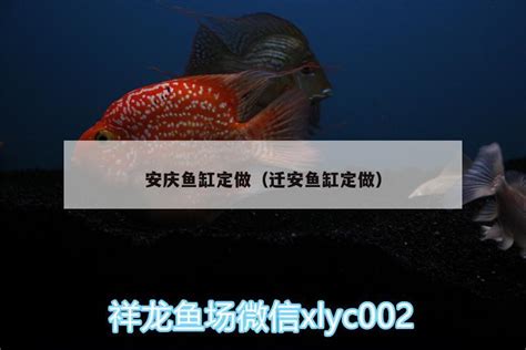 安庆鱼缸定做（迁安鱼缸定做） - 黑桃A鱼 - 广州观赏鱼批发市场