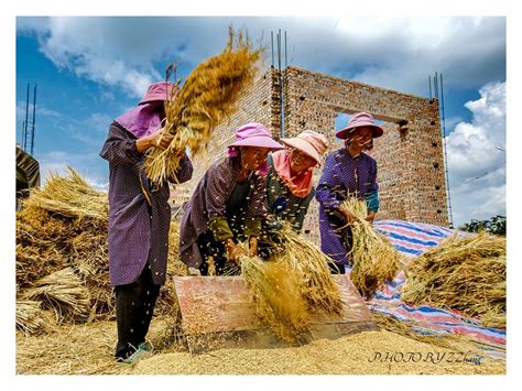 设立“中国农民丰收节”，具有哪些重大的现实意义和深远的历史意义？_摄影资讯_国际旅游摄影网