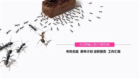 蚂蚁团队合作大图,蚂蚁团队,团队合作图片_大山谷图库