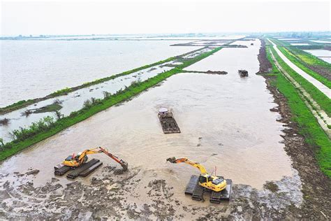 洪湖恢复湖泊湿地9万多亩凤凰网湖北_凤凰网