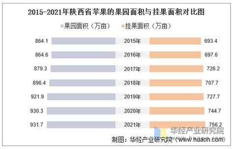 2021年中国陕西苹果产量分布及出口情况分析：陕西苹果产量约占全国总产量_同花顺圈子