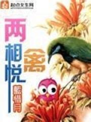 两禽相悦(蓝惜月)最新章节在线阅读-起点中文网官方正版