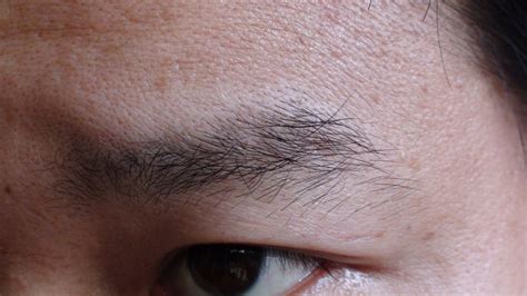 眉毛有一根特别长是什么意思？_三思经验网