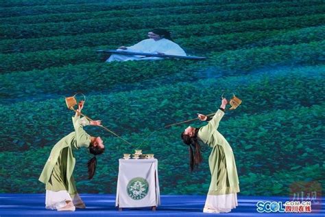 雅安：做更好的大熊猫守护者 - 四川省生态文明促进会