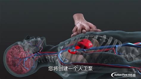 人类肺的三维动画高清图片下载-正版图片300001746-摄图网