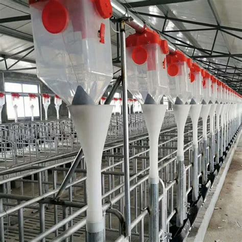 育肥绞龙式 - 自动饲喂系统-产品中心 - 广州嘉斯特畜牧设备有限公司