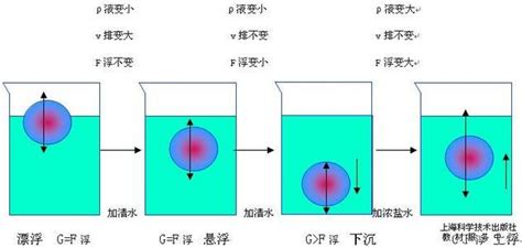 研究物体的浮沉条件_上海科学技术出版社教材服务中心