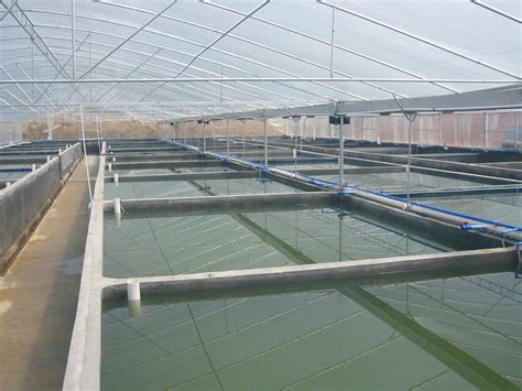 全州县开启“陆基圆形池循环水养殖”新型设施渔业养殖新模式