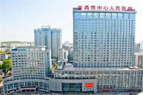 武汉市中心医院设计图__企业LOGO标志_标志图标_设计图库_昵图网nipic.com