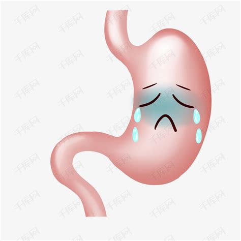 人体胃器官卡通插画素材图片免费下载-千库网