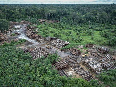 巴西为什么热带雨林资源丰富？ 理由-