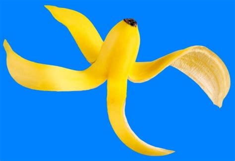 香蕉的功效与作用禁忌 常见水果香蕉有什么好处
