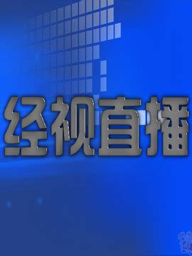 湖北经视直播栏目采访上海清涟环境金银湖湿地公园项目-上海清涟环境科技集团