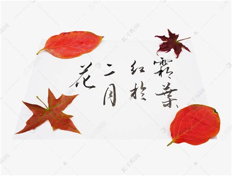 赞美红枫的最佳诗句,红枫七言,描写枫叶的优美句子_大山谷图库