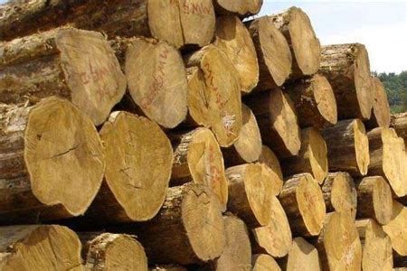 缅甸柚木方料-德福林-缅甸柚木原木|板材|楼梯籽|木材源头厂家|加工定制