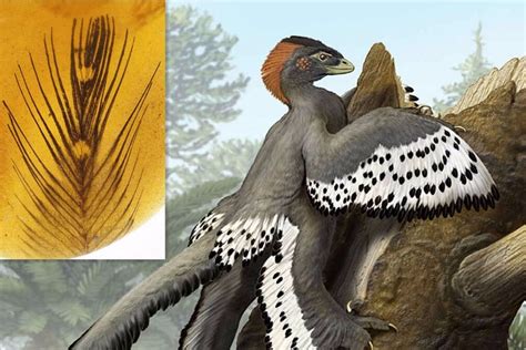 用纸来折一条恐龙，它叫做虚形龙，是已知最早的恐龙之一