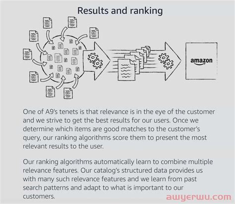 亚马逊销售排名解释：它是什么？& 改善 亚马逊BSR的 12 个步骤_石南学习网