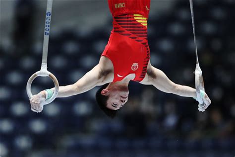中国体操队“大白”照上了热搜……东京奥运有戏了？_文体社会_新民网