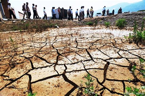 宁夏万亩林场主跪地求水：干旱问题与全球行动