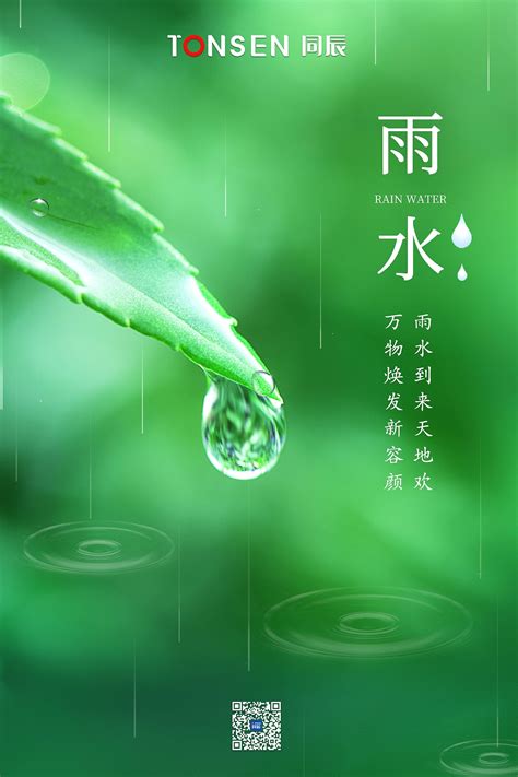 好雨知时节当春乃发生中国传统节日二十四节气雨水海报民族节日代代传承蓝色简约风素材模板下载 - 图巨人