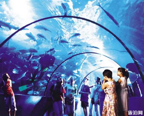 2021武汉东湖海洋世界-旅游攻略-门票-地址-问答-游记点评，武汉旅游旅游景点推荐-去哪儿攻略