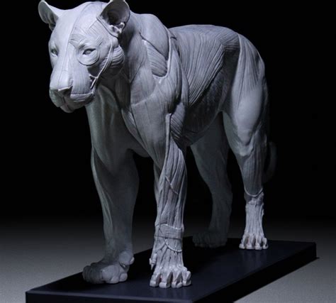 艺术家3D打印超精细大型猫科动物解剖模型 – 北京大学新一代GIS研究室