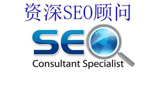 seo是什么推广网站（seo指的是搜索引擎营销）-8848SEO