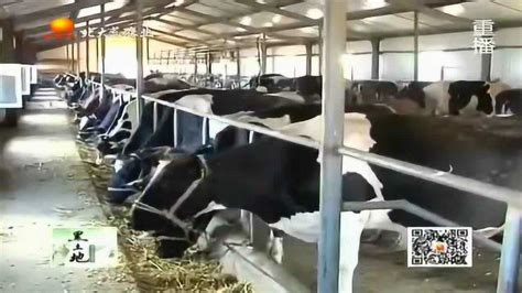 畜牧机械设备厂家-农机网