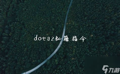 dota2秘籍指令_dota2手游_九游手机游戏