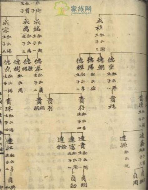 中国古代修家谱的传统 - 知乎