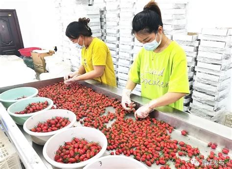 【零售】好物集合店番茄口袋完成5000万元A轮融资，创新工场加码年轻人的生意-快消品网