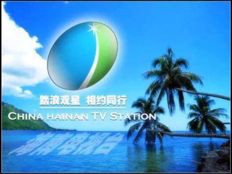 海南卫视电视台logo设计图片素材_东道品牌创意设计