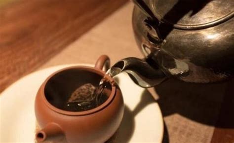 茶道知识|你知道泡茶的六大基本步骤吗？ - 茶文化 - 茶道道|中国茶道网