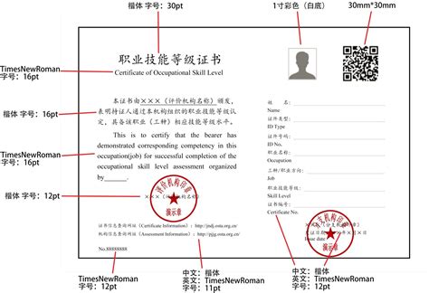 证书等级样式 - 绍兴市职业技能协会