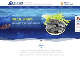 网站建设-威海祥汇云信息技术有限公司