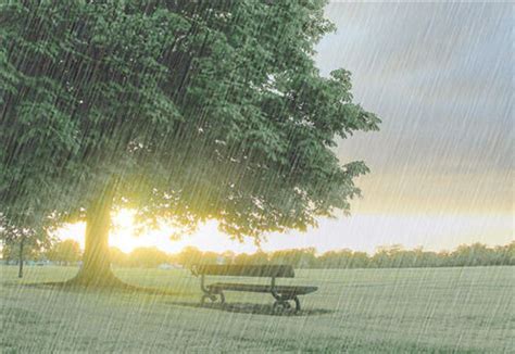 唯美雨天黄色雨伞背景背景图片下载_1920x900像素JPG格式_编号1kjf2jorv_图精灵