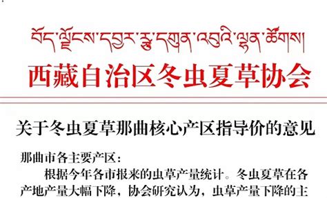 西藏行业官方网站—西藏那曲虫草网