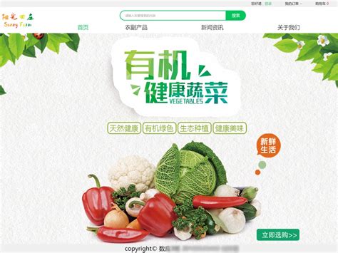 绿橙色电商蔬菜生鲜零售现代餐饮促销中文电商竖版海报 - 模板 - Canva可画