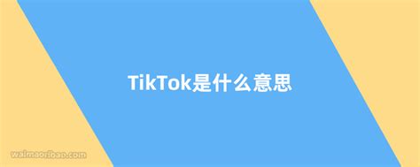 TikTok是什么意思 - 外贸日报