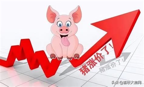 23日行情日评：猪价继续暴涨，东北破9，广东冲10，警惕调整风险__财经头条