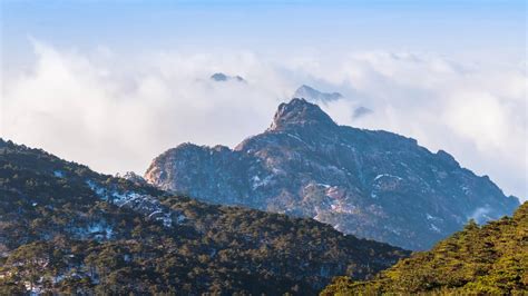 安徽黄山背景中的山雾树高清图片下载-正版图片503341470-摄图网