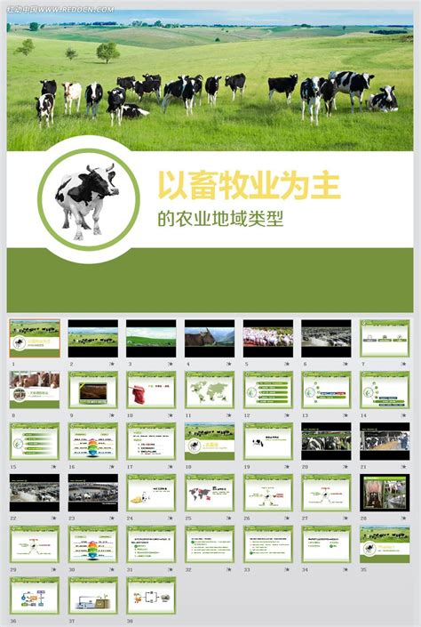 发展特色畜牧业 推进畜牧产业化 - 行业新闻 - 北京东方迈德科技有限公司